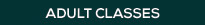 Adult Classes